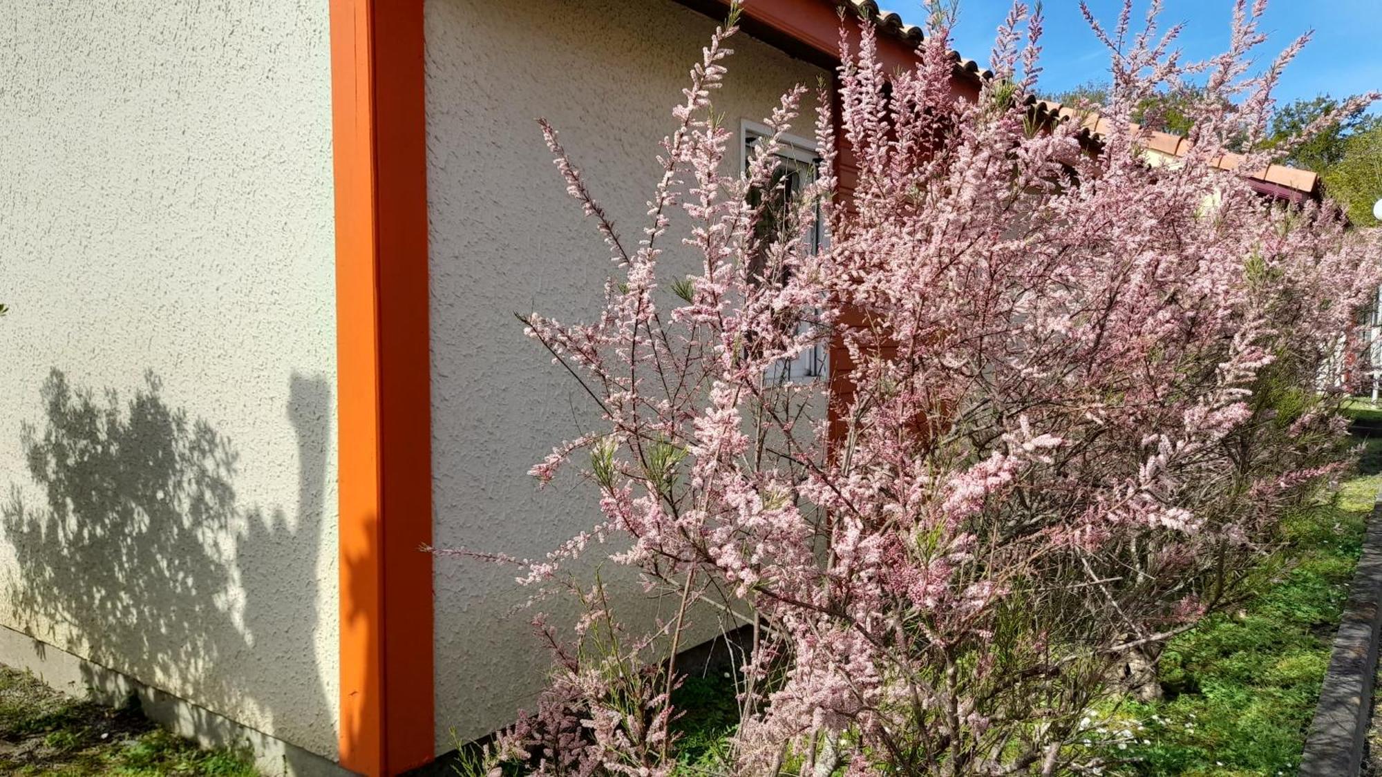 Résidence Mes Amours d'Enfants - Les Villas du Lac Soustons Extérieur photo